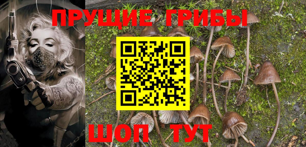 Галлюциногенные грибы Cubensis Комсомольск-на-Амуре