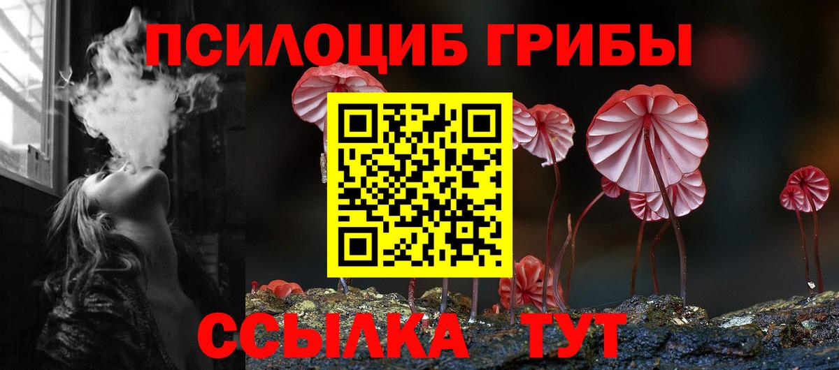 Псилоцибиновые грибы прущие грибы  купить  сайты  Комсомольск-на-Амуре  Галлюциногенные грибы Cubensis  Вход с VPN 